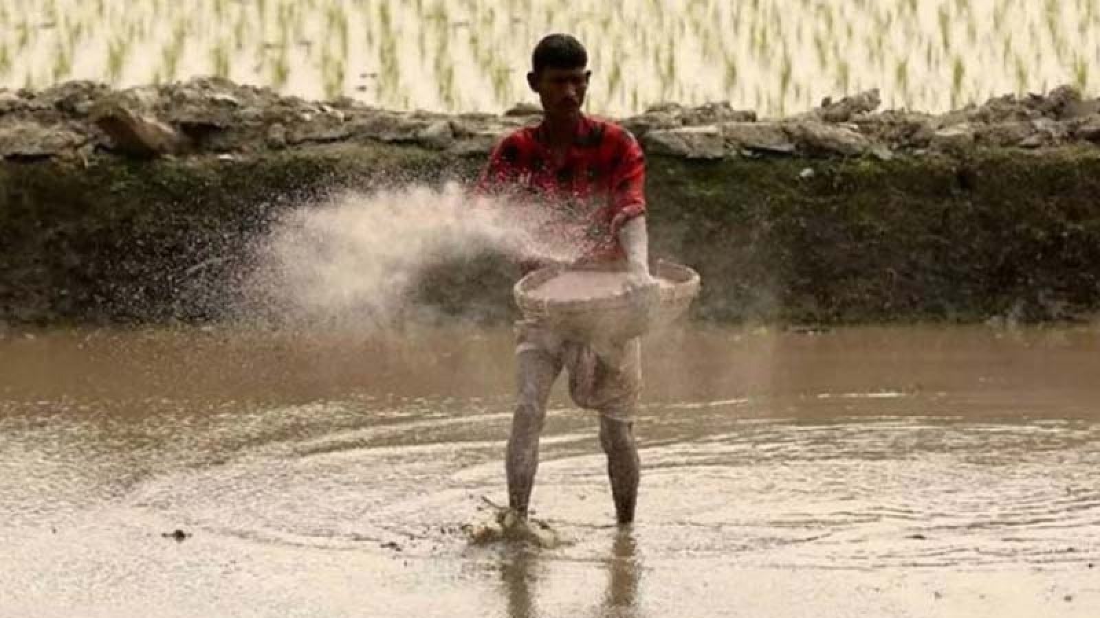 ৭ লাখ কৃষকের ৬০৪ কোটি টাকা কৃষিঋণ মওকুফ