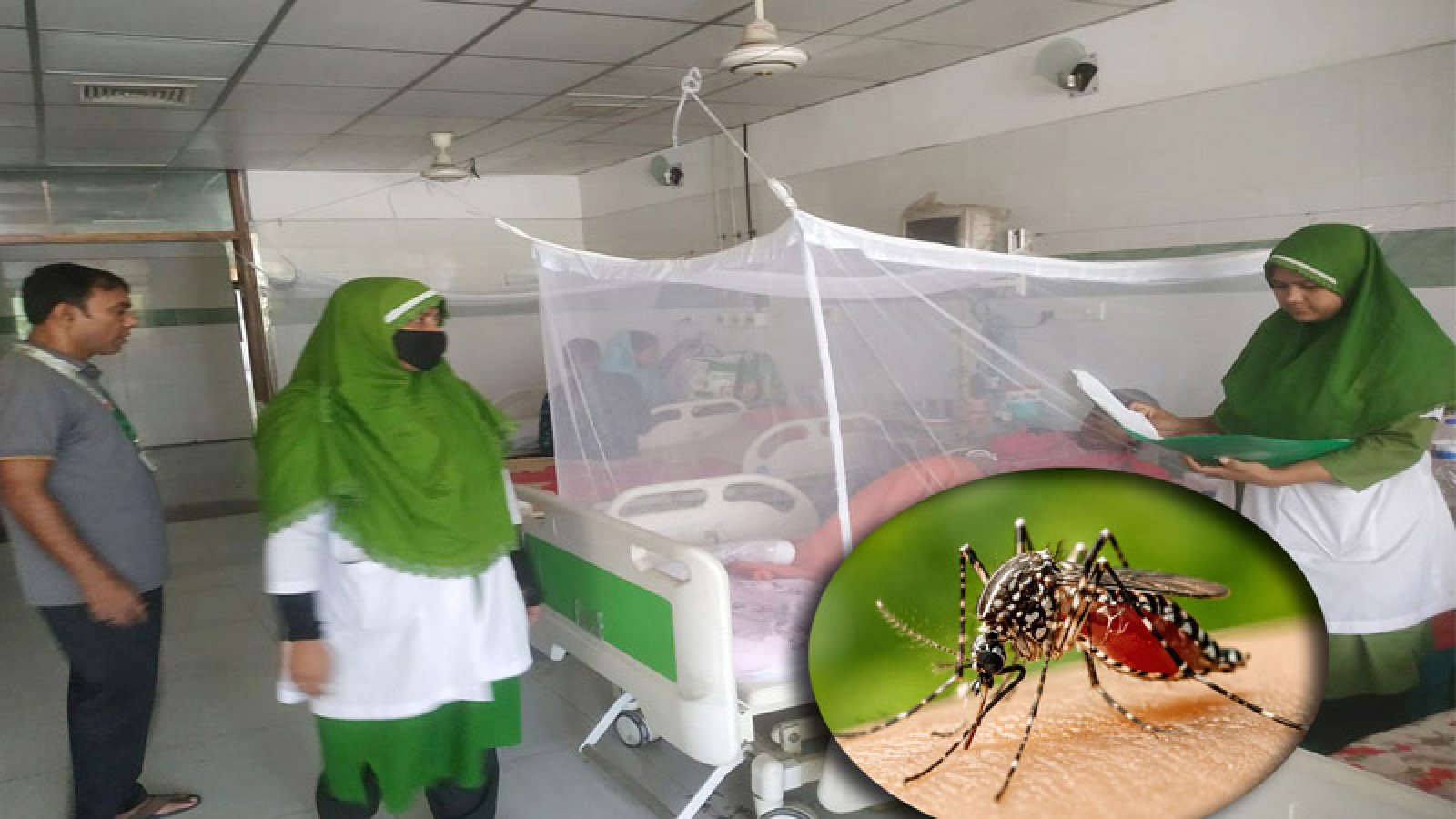 বগুড়ায় ডেঙ্গুর প্রকোপ বাড়ছেই, ২০ শয্যার ইউনিটে রোগী ৩১ ভর্তি