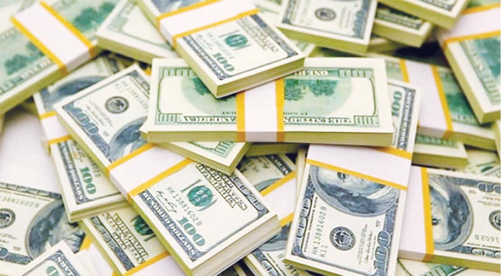 বৈদেশিক মুদ্রার রিজার্ভ ৩৫ বিলিয়ন ডলার ছাড়াল