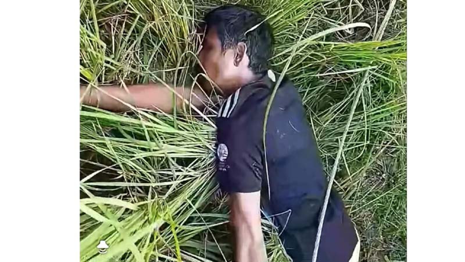 বিদ্যুতের তার চুরি করতে গিয়ে যুবকের মৃত্যু