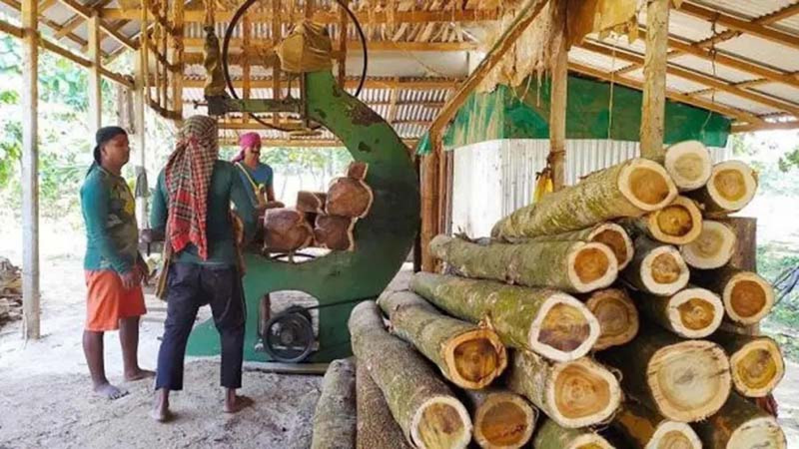 সূর্যাস্ত থেকে সূর্যোদয় পর্যন্ত স’মিল চালানো নিষিদ্ধ হচ্ছে