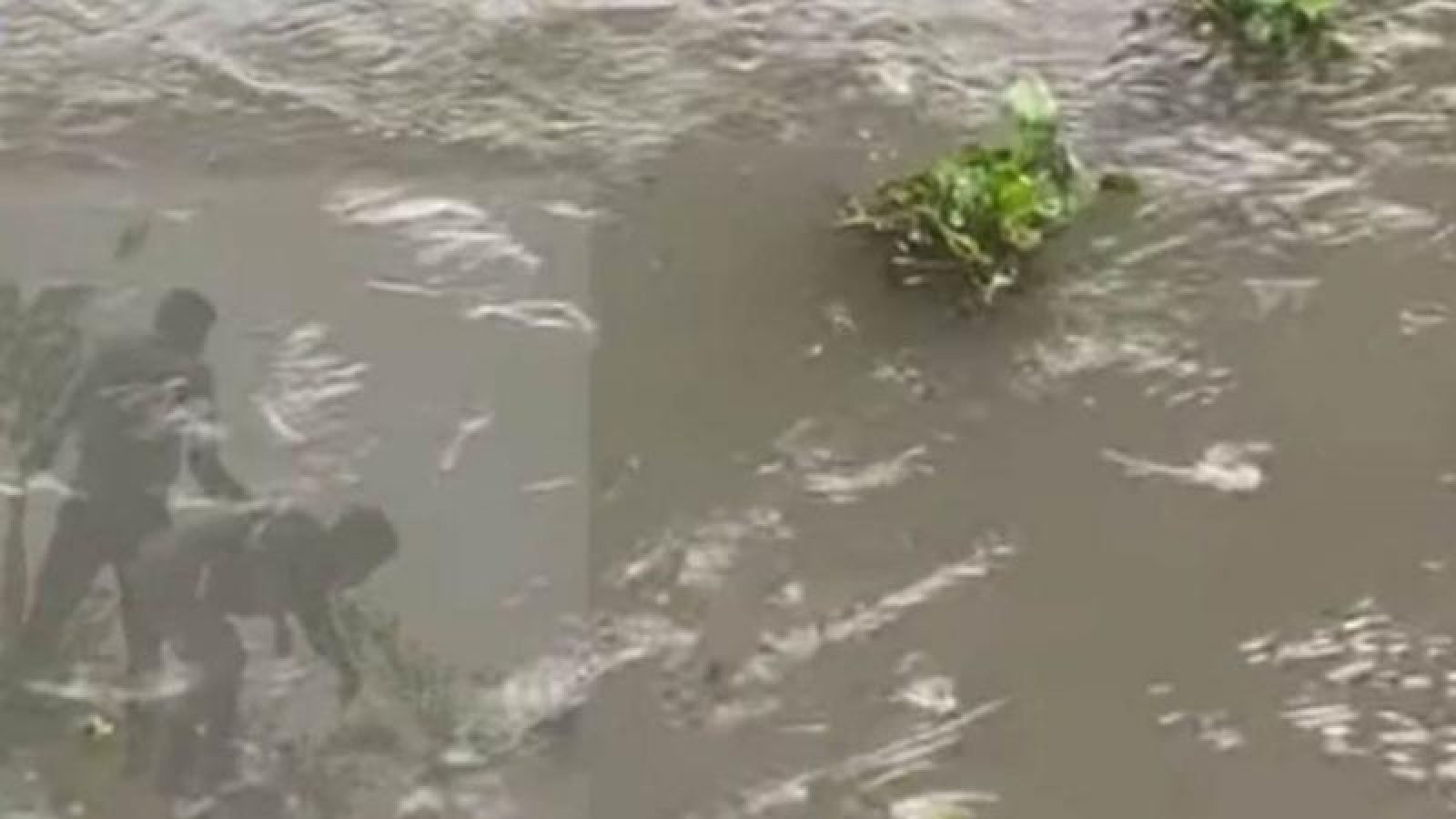 তুরাগকাণ্ড যে প্রশ্নগুলো উসকে দিচ্ছে