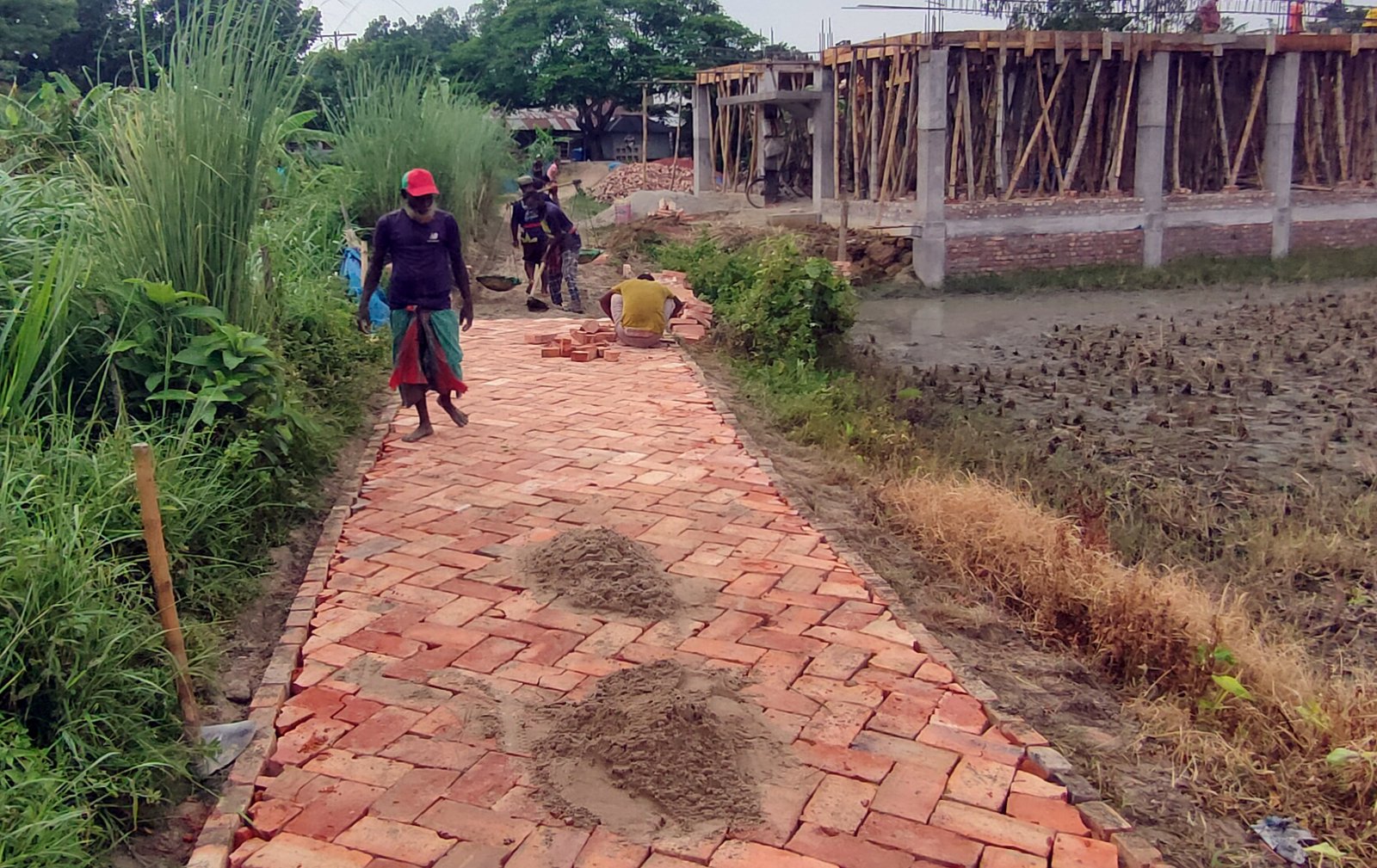 গ্রামীণ রাস্তার দুই পাশে ইট আর মাঝখানে মাটি, চরম ভোগান্তিতে গ্রামবাসী
