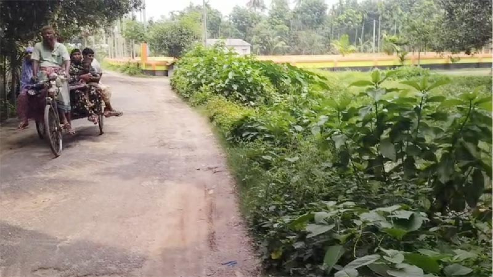 শ্বশুরের গ্রামের ঠিকানায় অধিকাংশ জামাইয়ের স্থায়ী বসবাস
