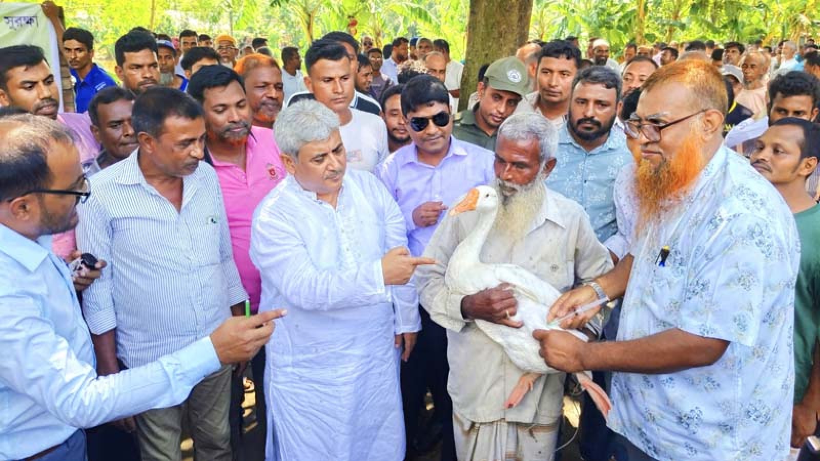 পবায় ফ্রি টিকায় সুরক্ষিত হচ্ছে ৮৩ হাজার গবাদিপশু ও হাঁস-মুরগি, স্বস্তিতে প্রান্তিক খামারিরা