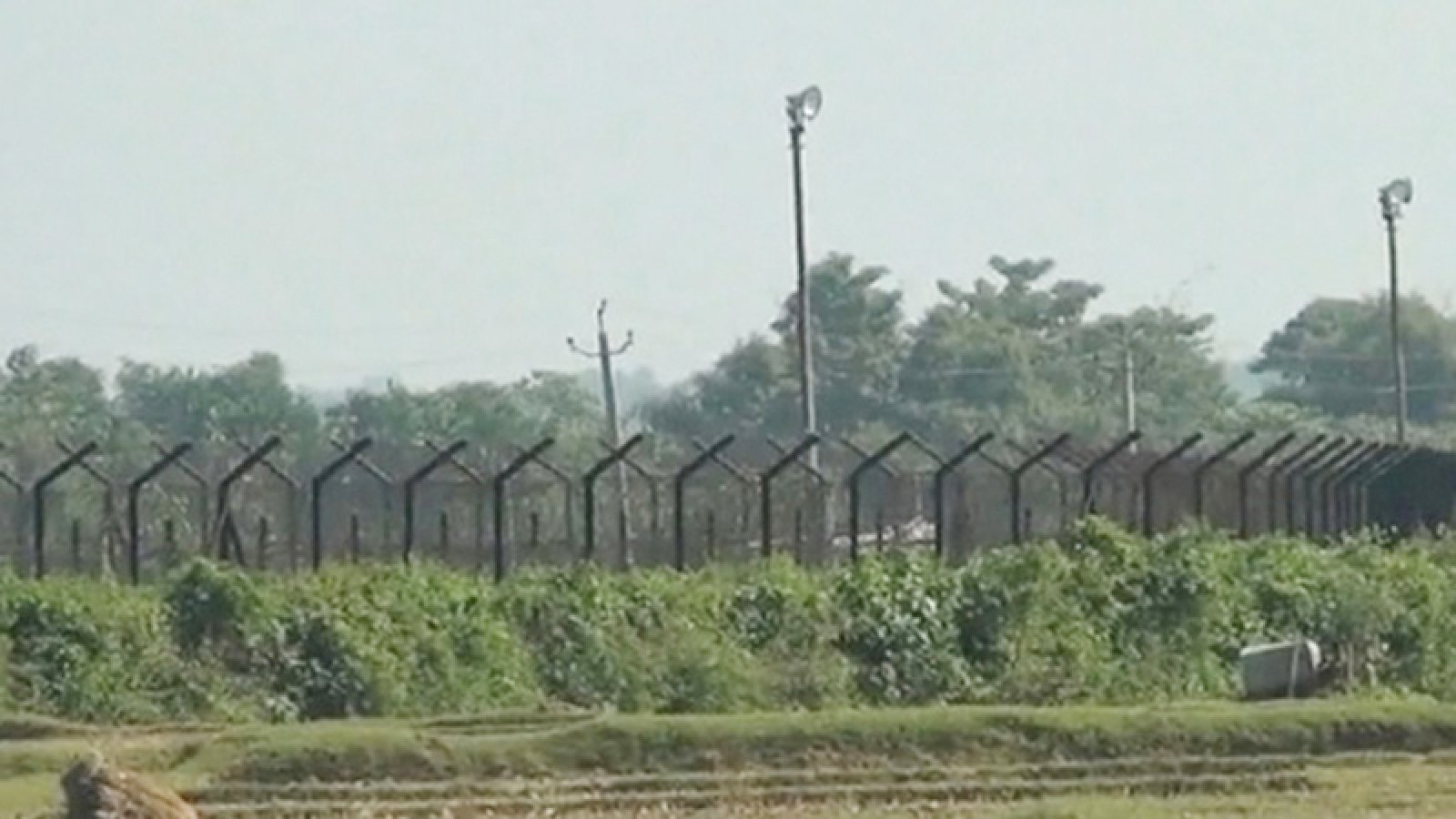 সীমান্তে বিএসএফের গুলিতে দুই বাংলাদেশি নিহত