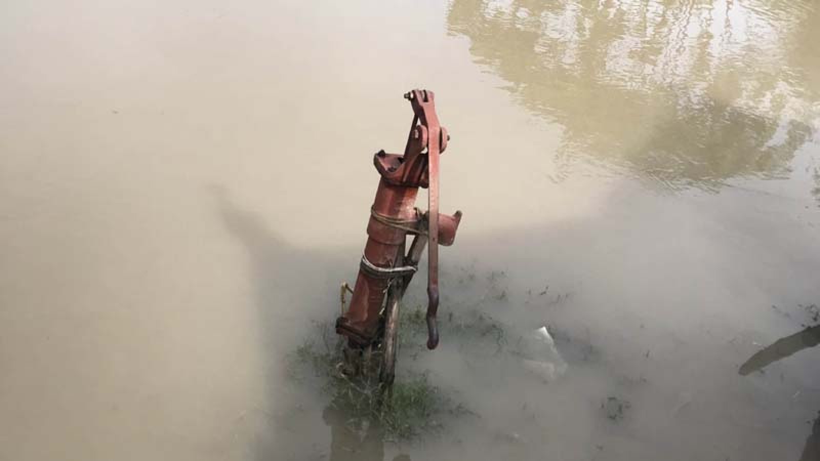 বাঘায় পানিবন্দি পদ্মার ১৫টি চরে ২০ হাজার মানুষ বিশুদ্ধ পানির সংকট