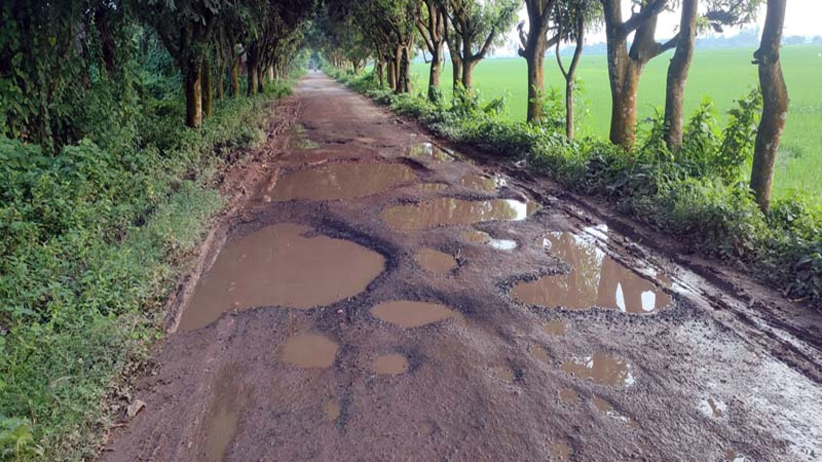 প্রশস্তকরণসহ মেরামত হচ্ছে খানাখন্দে ভরা রাণীনগরের আবাদপুকুর-আদমদীঘি সড়ক