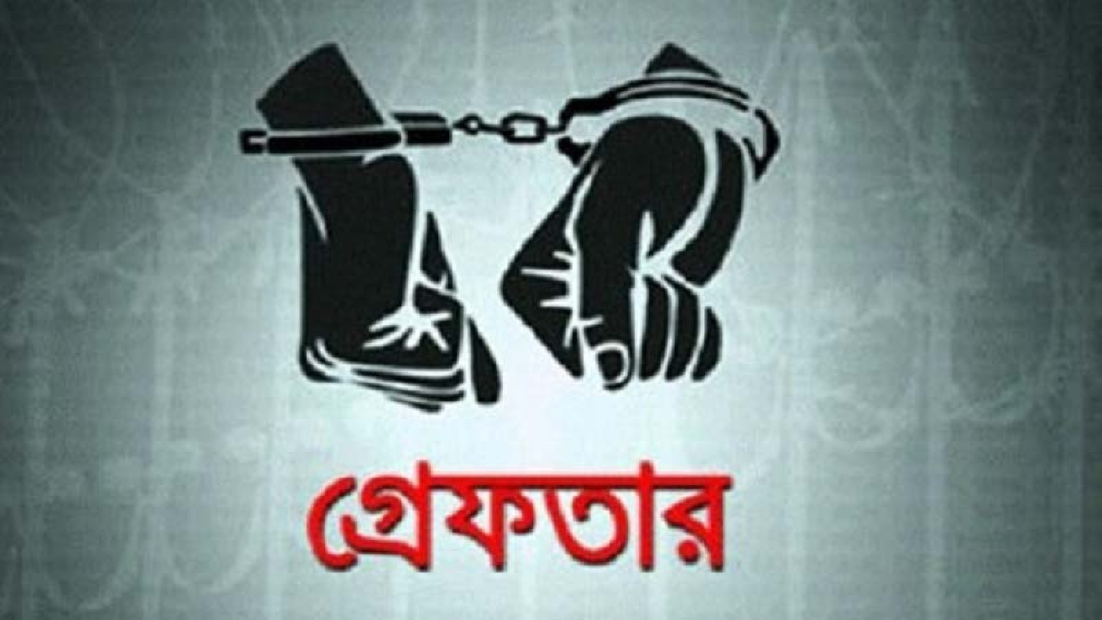 নগরীতে বিভিন্ন অপরাধের অভিযোগে গ্রেপ্তার ২২ জন