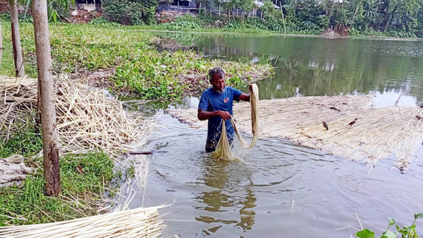 বগুড়ায় অর্থনৈতিক সম্ভাবনার দ্বার খুলছে সোনালী আঁশে