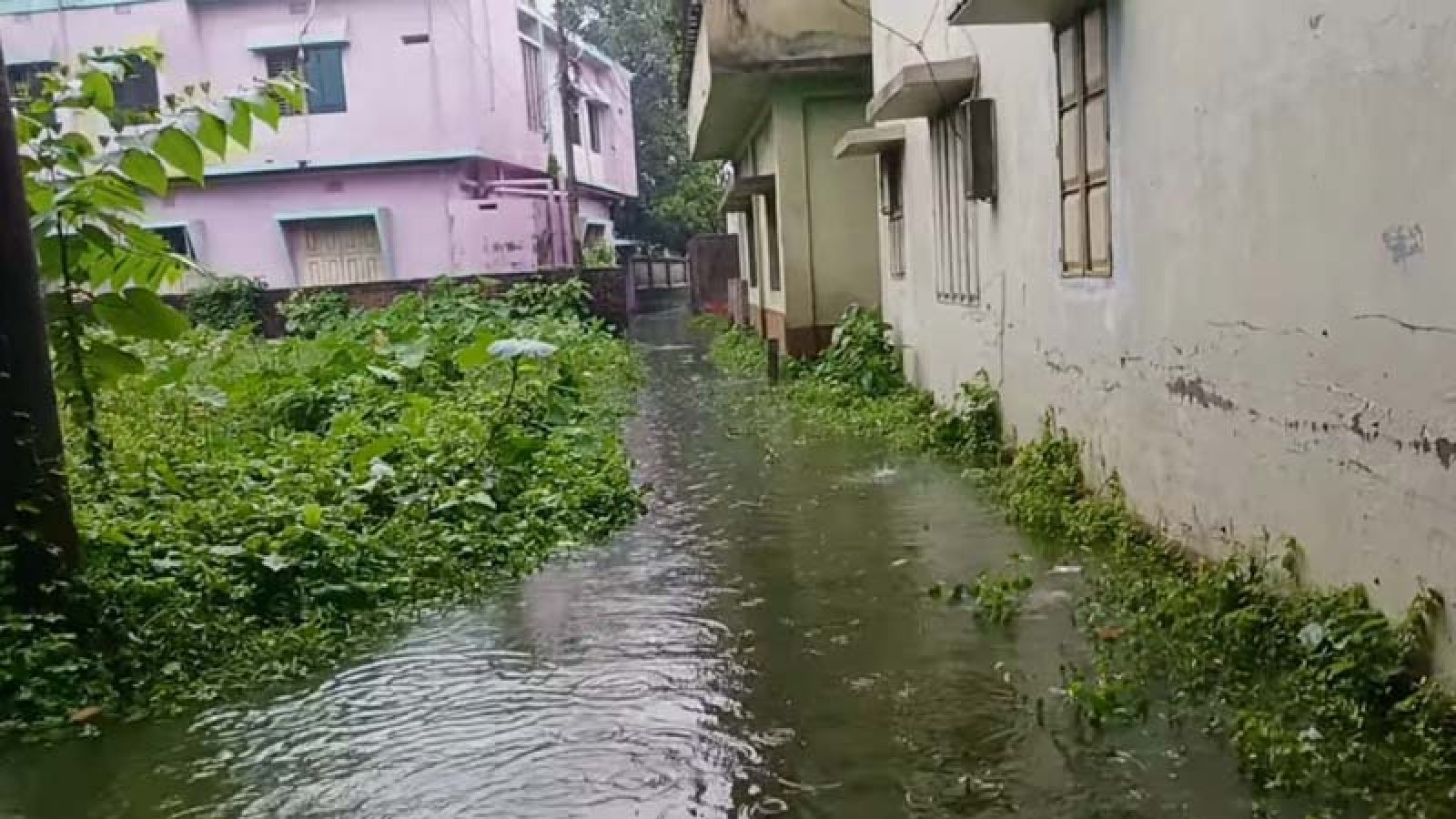 রাতভর ভারী বৃষ্টিতে সান্তাহার পৌর এলাকায় জলাবদ্ধতা