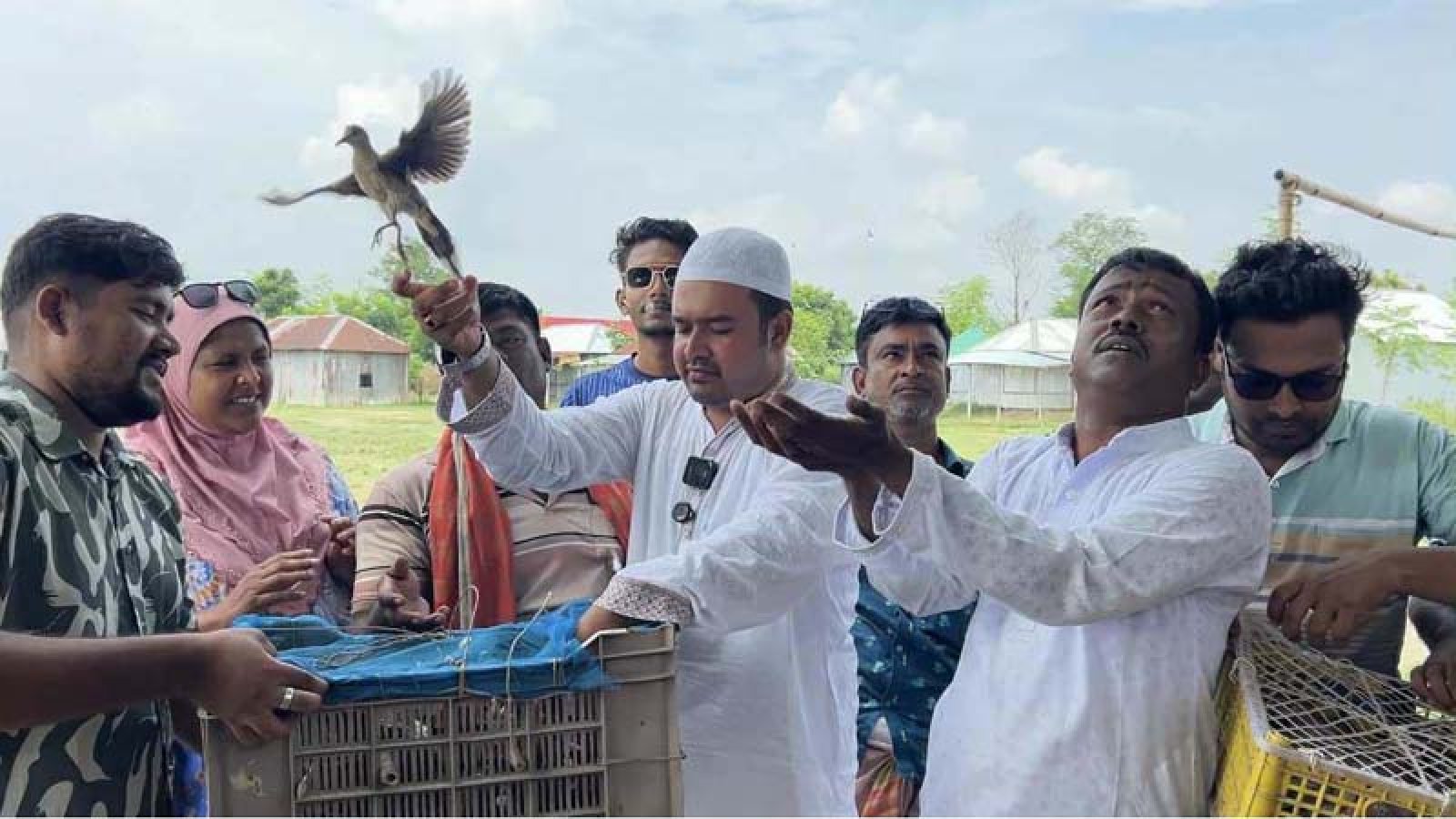 বাঘায় পদ্মাচরে ৩ শতাধিক পাখি অবমুক্ত করেন ছাত্রদল নেতা