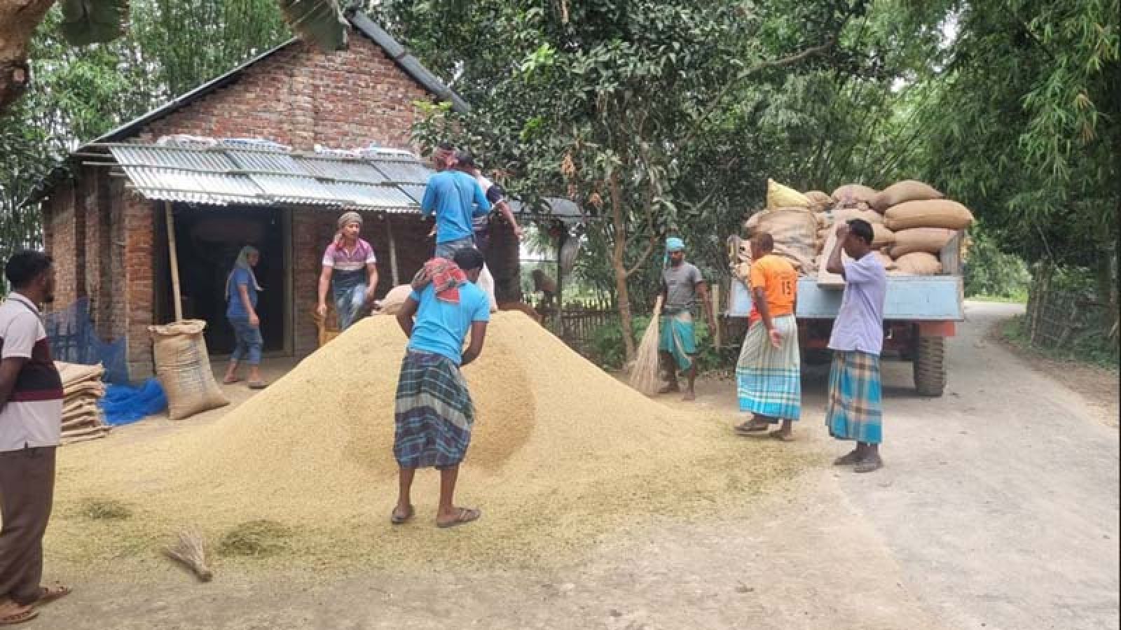 ফুলবাড়ীতে আউশের বাম্পার ফলনেও হাসি নেই কৃষকের মুখে