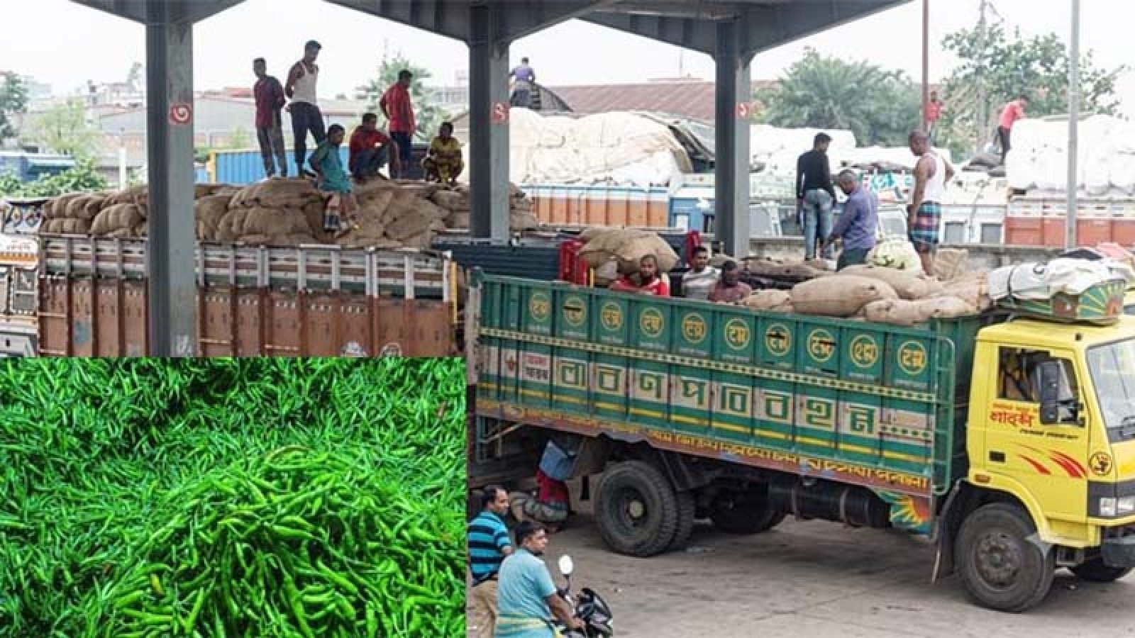 বেনাপোল স্থলবন্দর দিয়ে ভারত থেকে কাঁচামরিচ আমদানি শুরু হয়েছে