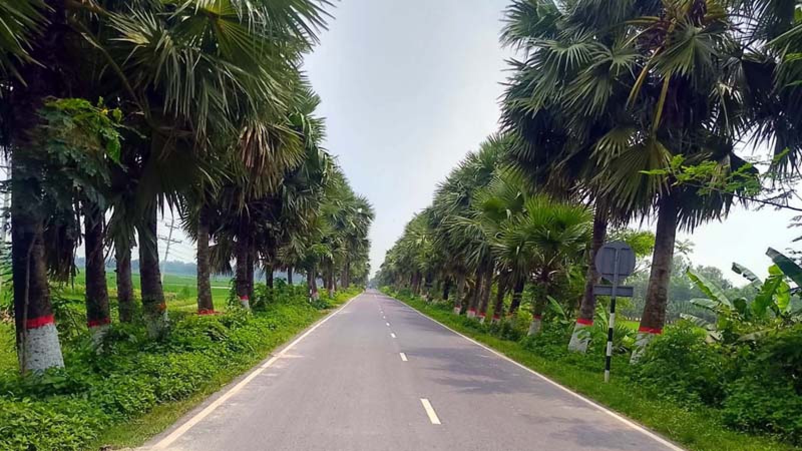 বদলগাছী উপর দিয়ে রেলপথ নির্মাণে সম্ভাব্যতা যাচাইয়ে এমপি বরাবর চিঠি