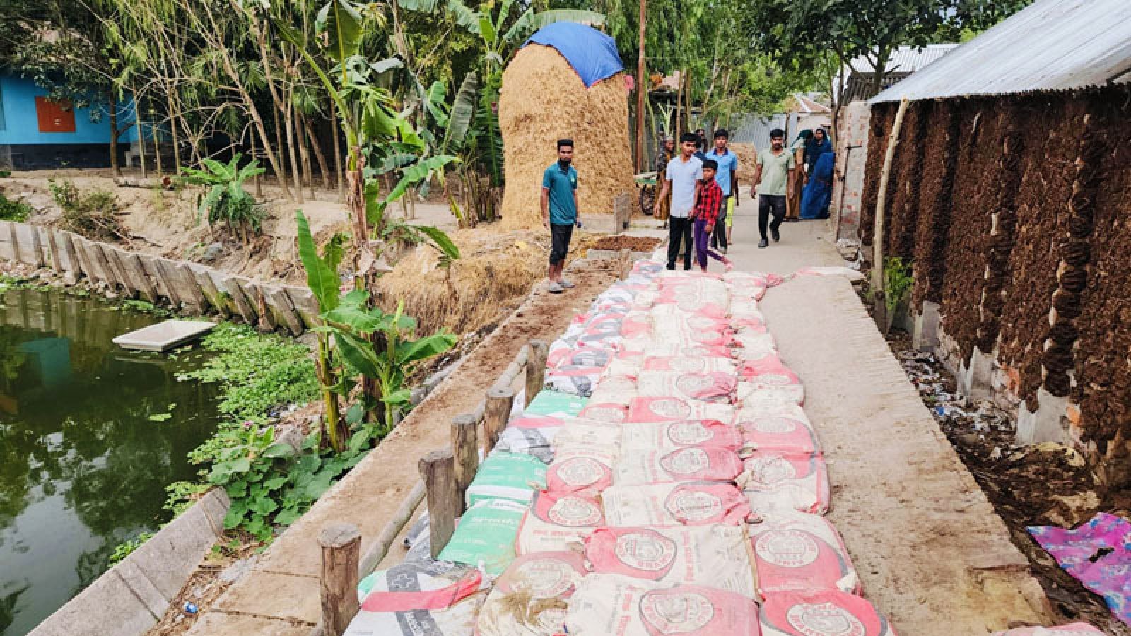 সিংড়ায় চলাচলের রাস্তা সংস্কার করলেন যুবকরা