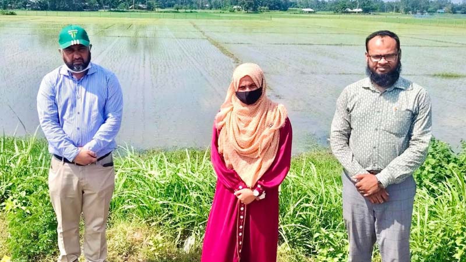 শেরপুরে আমন আবাদ পরিদর্শনে কৃষি সম্প্রসারণ অধিদপ্তরের উপপরিচালক