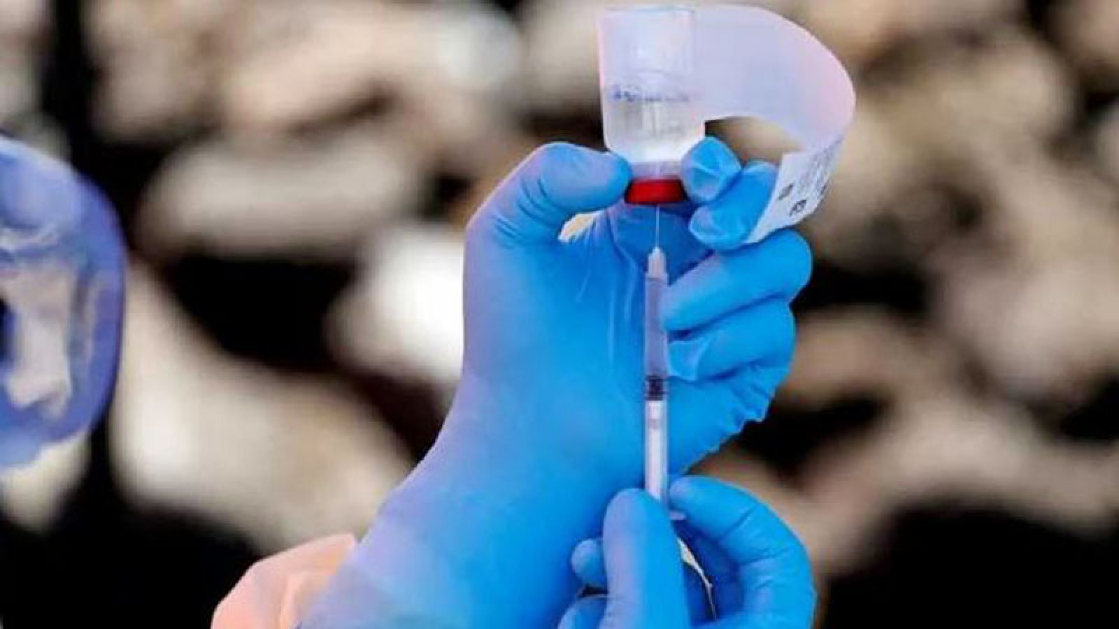 কঙ্গো-উগান্ডার ইবোলা প্রাদুর্ভাবকে ‘জনস্বাস্থ্যে বৈশ্বিক জরুরি অবস্থা’ ঘোষণা
