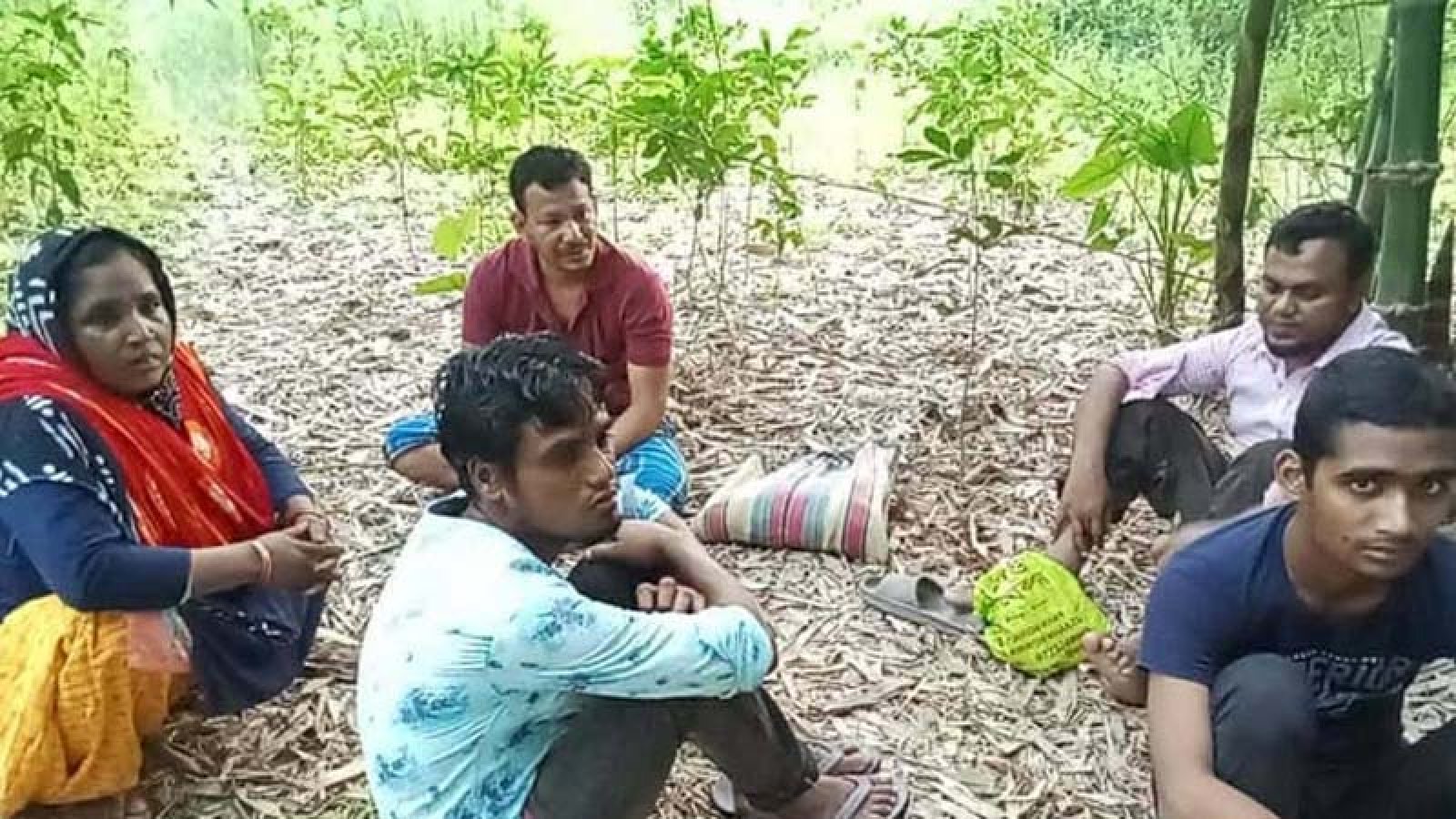 মেহেরপুর সীমান্তে ৭ জনকে পুশইনের চেষ্টা