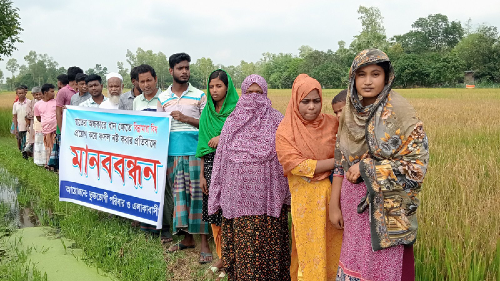 পত্নীতলায় ৭৫ শতক ফসলের ধান কীটনাশক স্প্রে ঝলসিয়ে দিয়েছে দুর্বৃত্তরা!