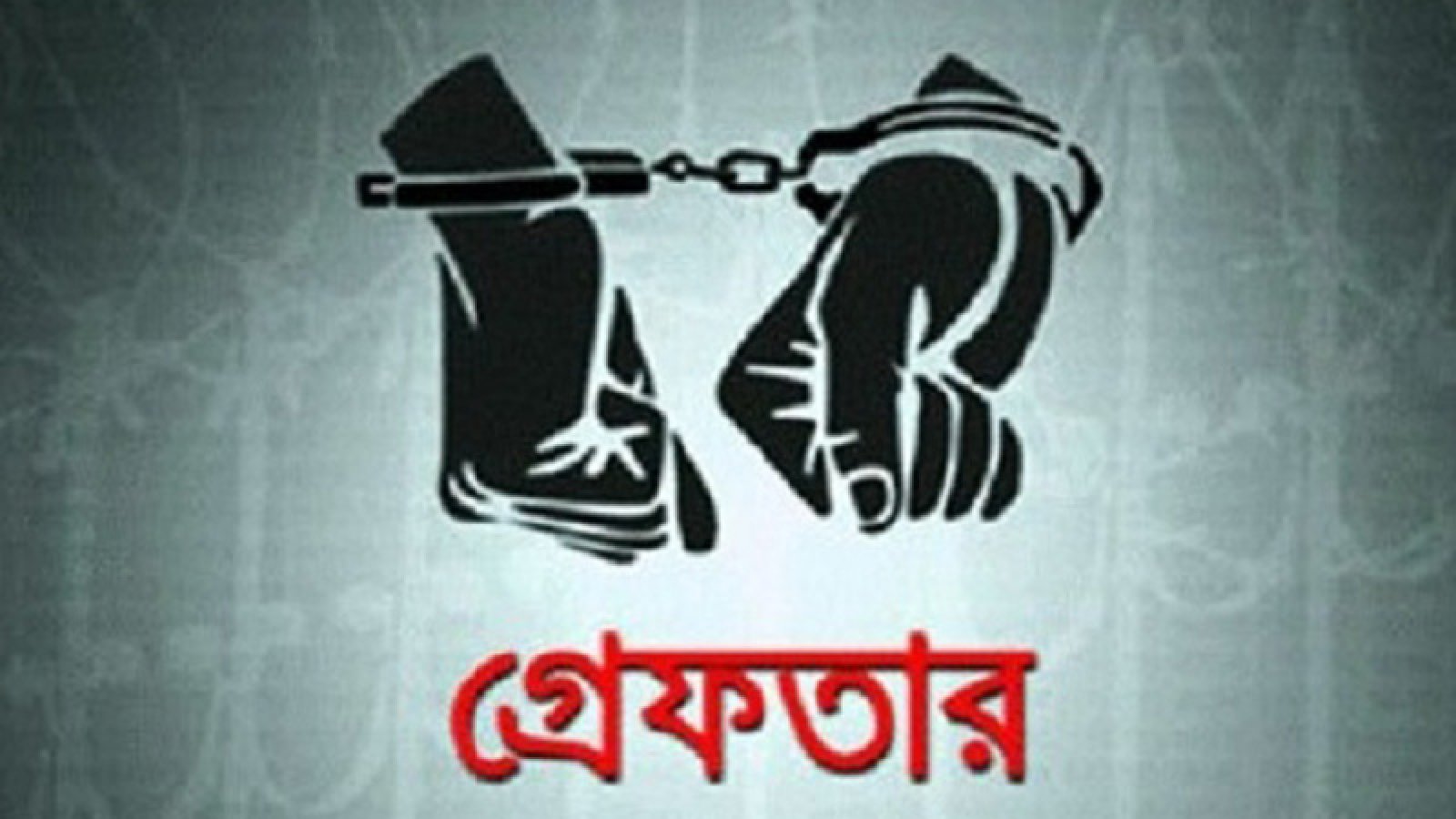 নগরীতে বিভিন্ন অপরাধের অভিযোগে গ্রেপ্তার ২৪ জন