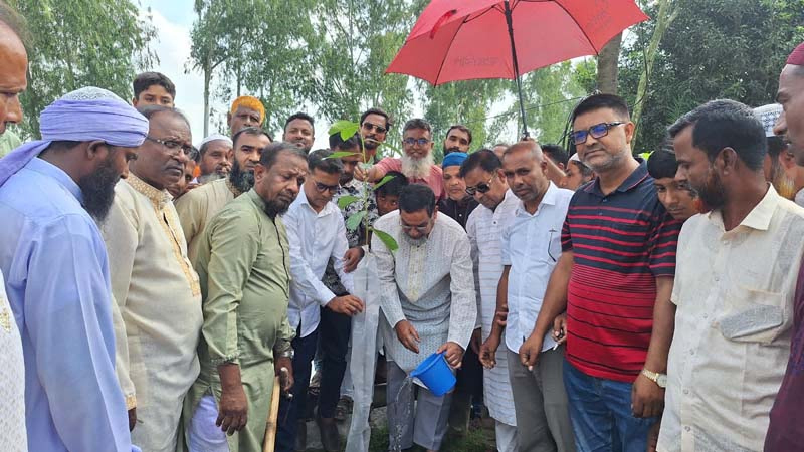 সান্তাহারে ৩ হাজার গাছের চারা রোপণ কর্মসূচির উদ্বোধন করলেন এমপি মহিত