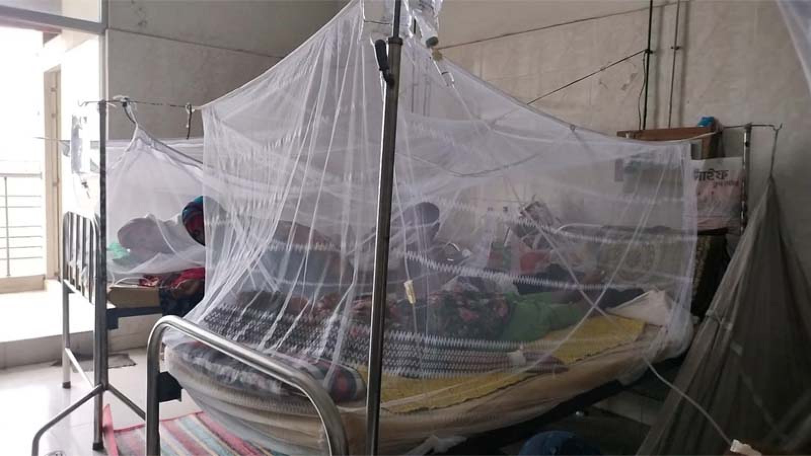 চাঁপাইনবাবগঞ্জে বাড়ছে ডেঙ্গু রোগী, বাড়ছে শঙ্কা