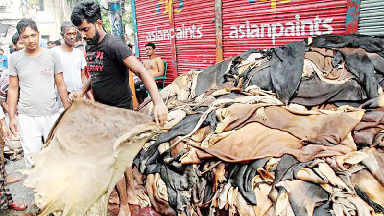 চামড়া সংগ্রহে অনাগ্রহে ক্ষুদ্র ও মৌসুমী ব্যবসায়ীরা