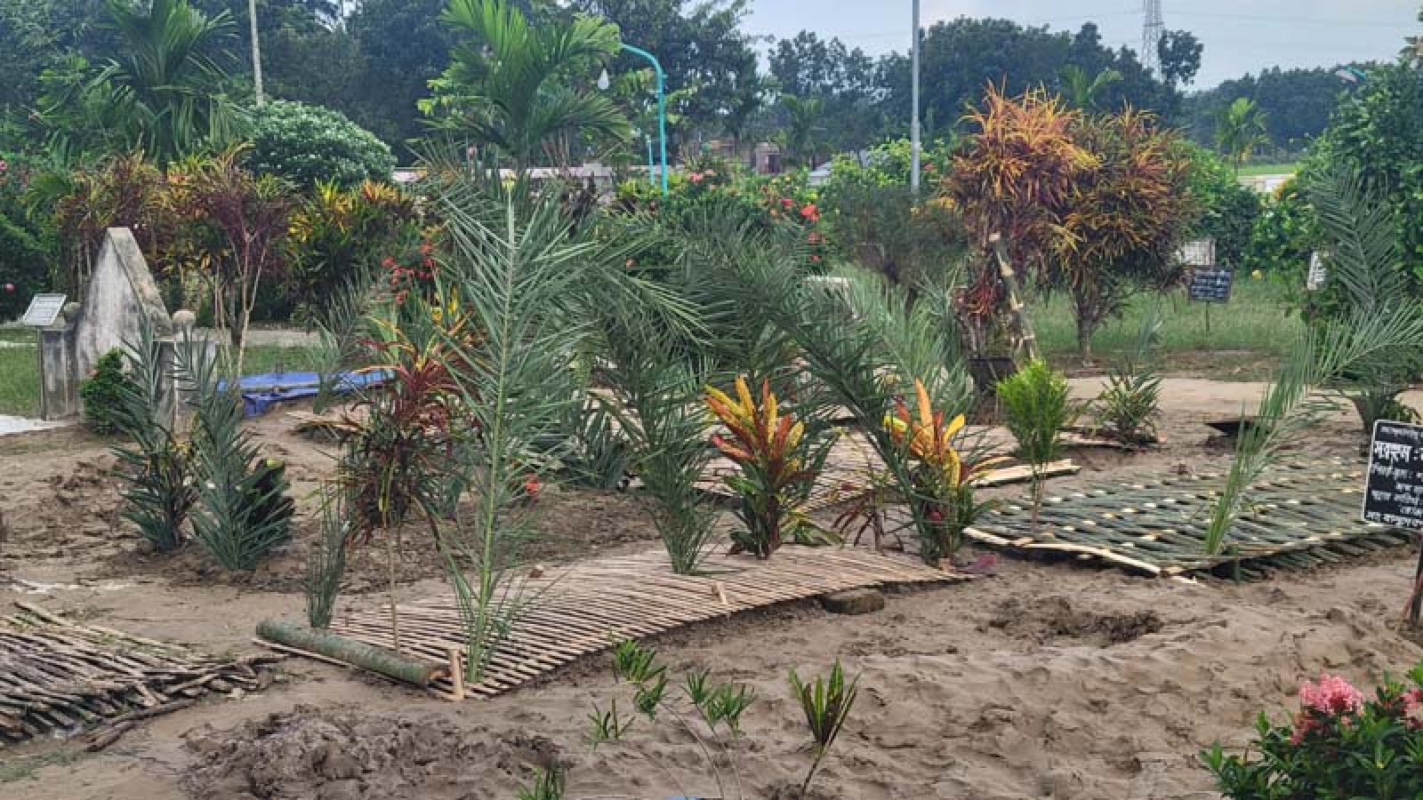 একসঙ্গে চিরনিদ্রায় শায়িত বজ্রপাতে নিহত পাবনার ৬ জন