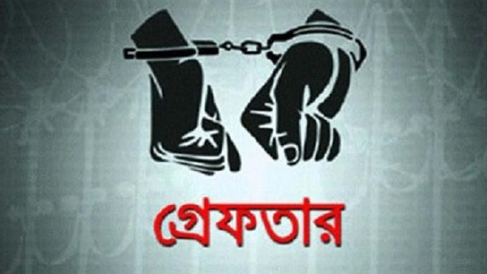 নগরীতে বিভিন্ন অপরাধের অভিযোগে গ্রেপ্তার ২৪ জন