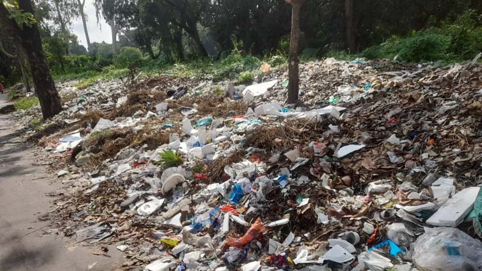 রাবি ক্যাম্পাস থেকে প্রায় ৪০০ টন বর্জ্য অপসারণ