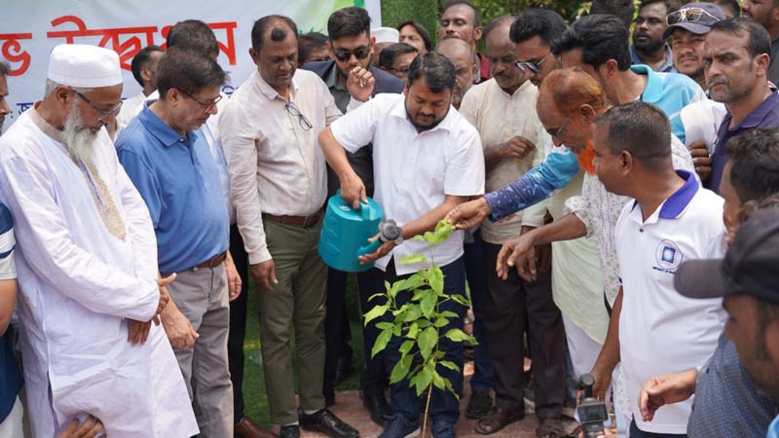 রাজশাহীতে ২ লাখ ৫০ হাজার গাছ লাগানোর লক্ষ্যমাত্রা