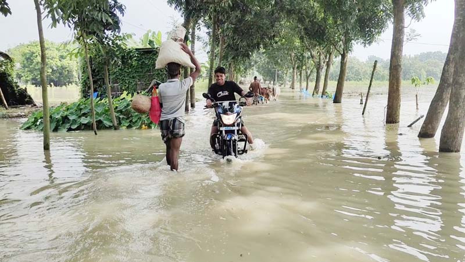 চাঁপাইনবাবগঞ্জে পদ্মার পানি কমলেও দুর্ভোগে নিম্নাঞ্চলের মানুষের জীবন