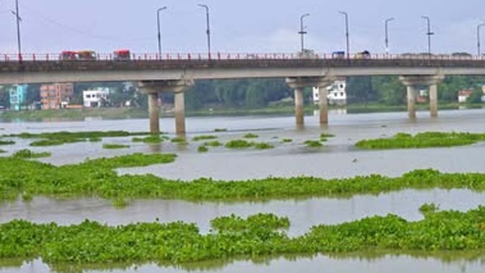 চাঁপাইনবাবগঞ্জে ‘চায়না দুয়ারি’র দাপটে বিলুপ্তির পথে দেশীয় মাছ