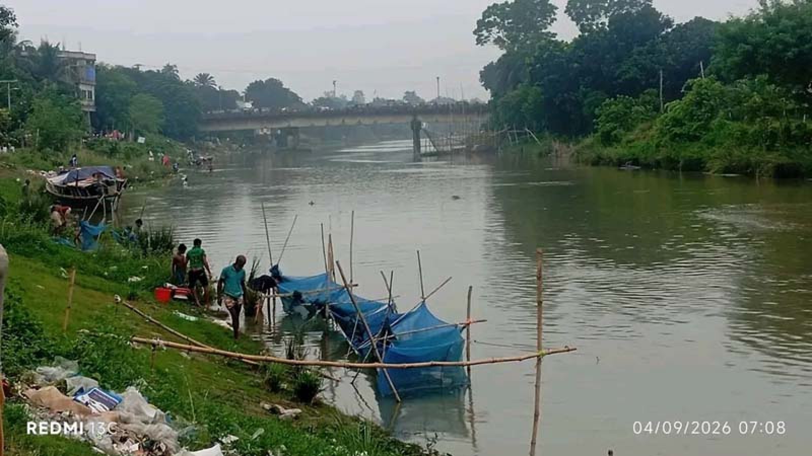 বারনই নদে হঠাৎ বিপুল সংখ্যক মাছ ভেসে উঠেছে, তদন্ত কমিটি গঠন