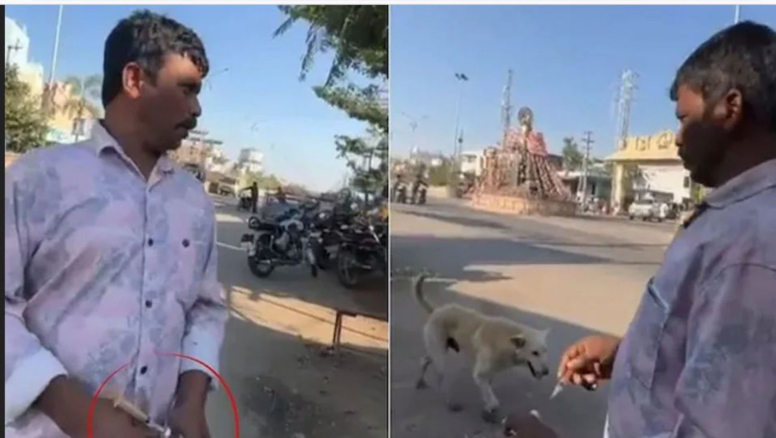 তেলেঙ্গানায় ভোটের বলি ৫০০ কুকুর, ‘প্রতিশ্রুতি রক্ষায়’ বিষ দিয়ে হত্যালীলা পঞ্চায়েত প্রধানের নেতৃত্বে!