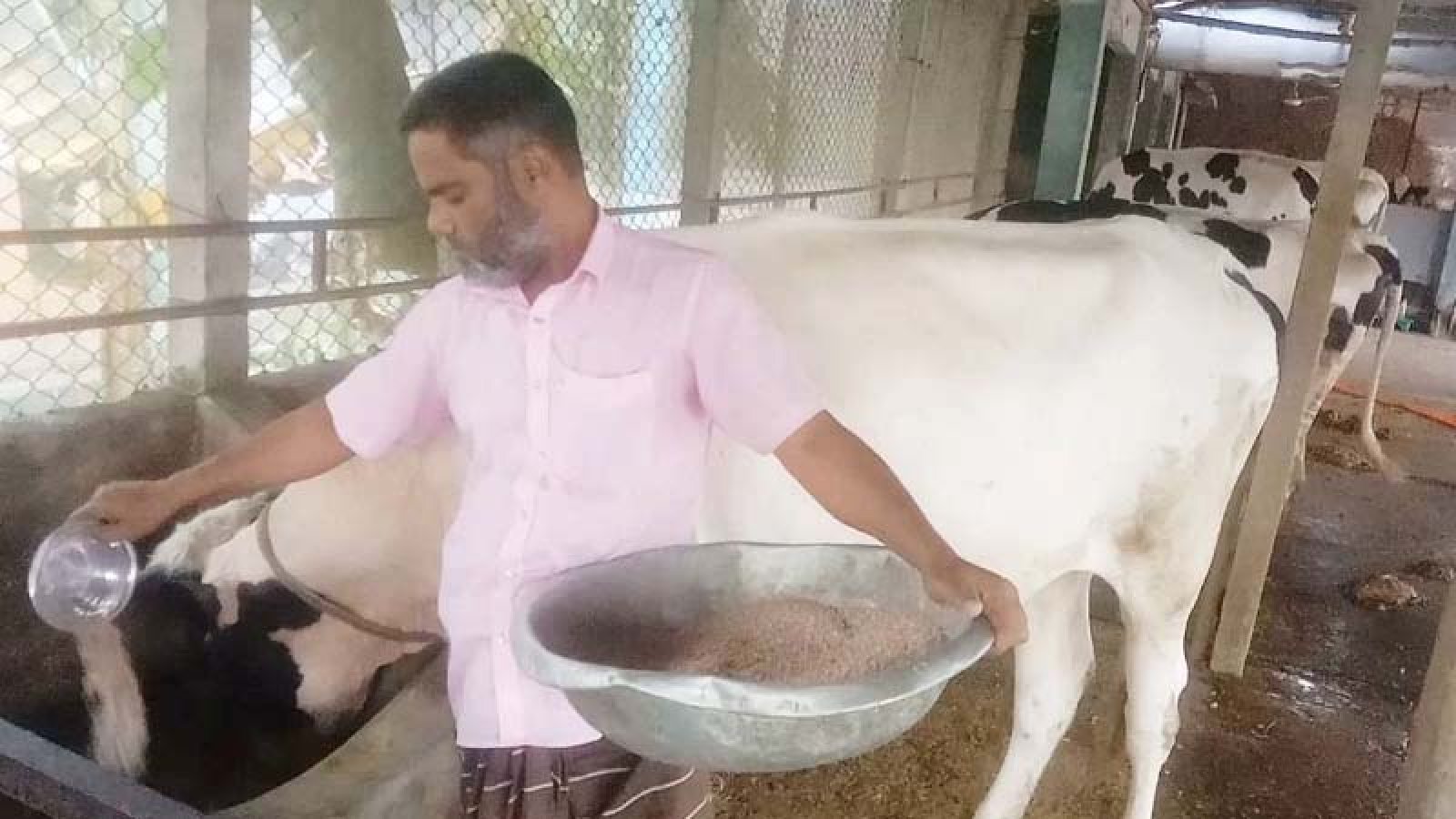খামারের আয়েই ঘুরছে গ্রামীণ অর্থনীতির চাকা