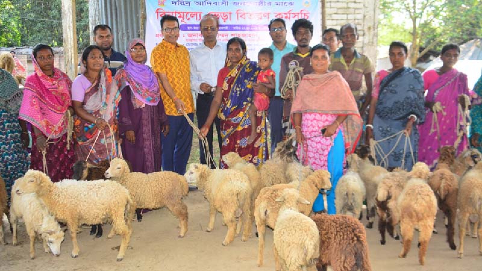 গোদাগাড়ীতে আদিবাসীদের মাঝে ভেড়া বিতরণ