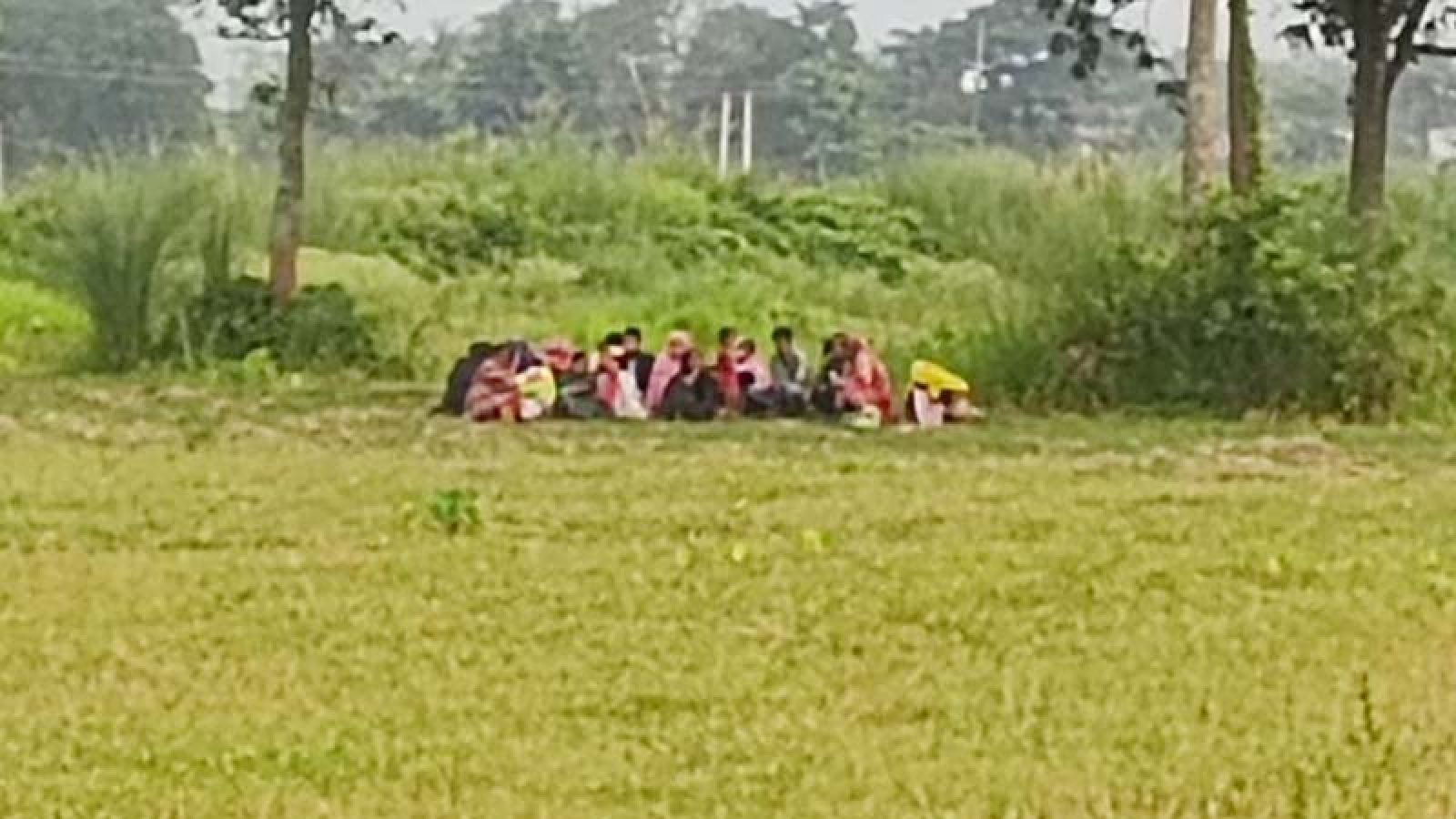 শিবগঞ্জ সীমান্তে ২০ জনকে পুশইন ঠেকিয়ে দিল বিজিবি