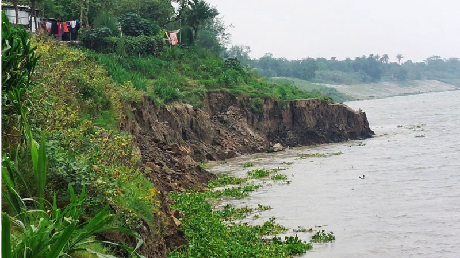 চারঘাটে পদ্মায় পানি বৃদ্ধি, আতঙ্কে তীরবর্তী এলাকাবাসী