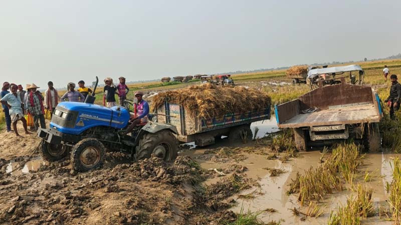 সাপাহারে কলমুডাঙ্গা মাঠের রাস্তায় গর্ত, ধান নিয়ে বিপাকে কৃষক