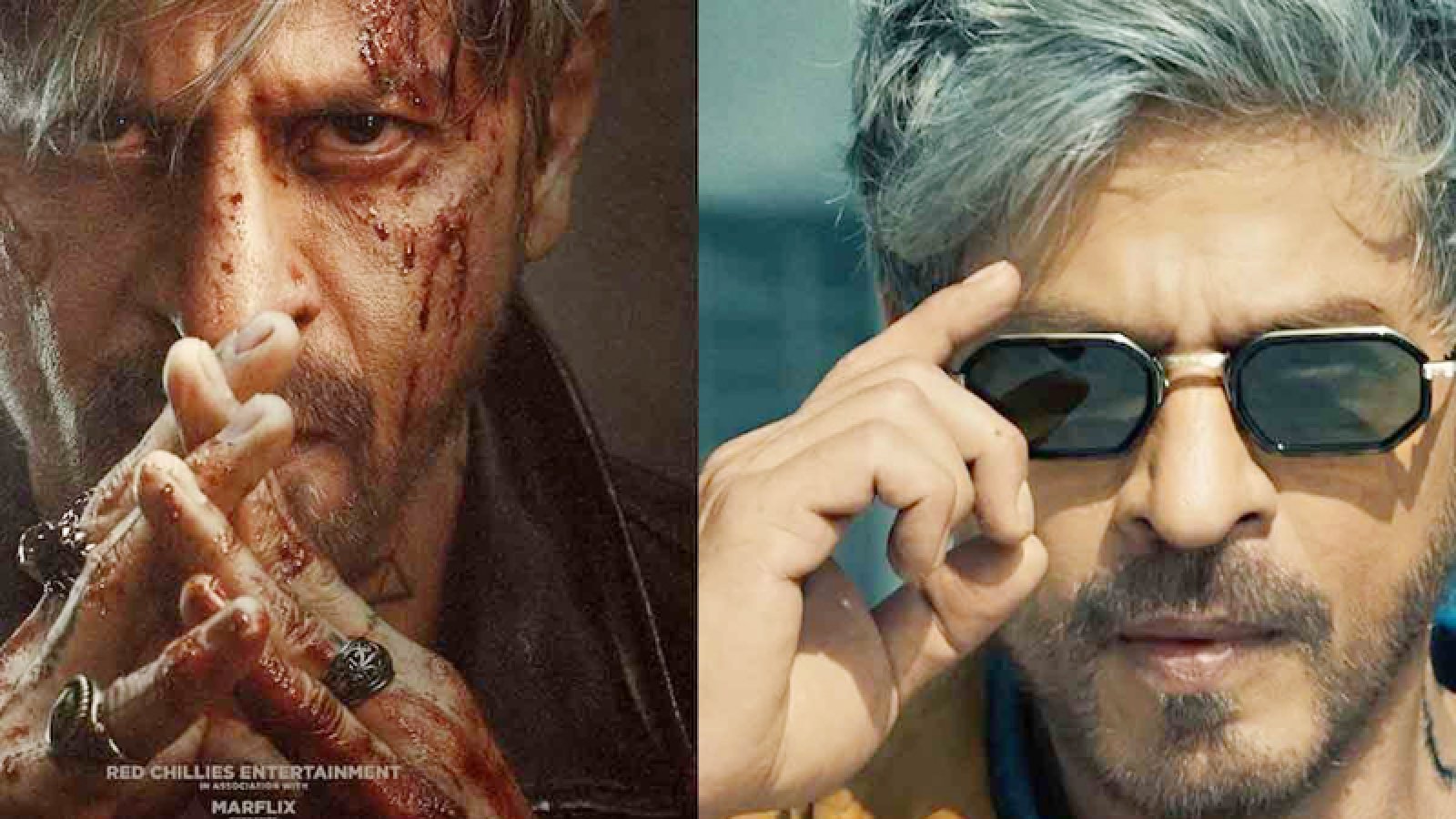 বড়দিনে ‘কিং’য়ের কামাল, কত কোটিতে প্রেক্ষাগৃহে প্রদর্শনের স্বত্ব কিনল শাহরুখ ঘনিষ্ঠ সংস্থা?