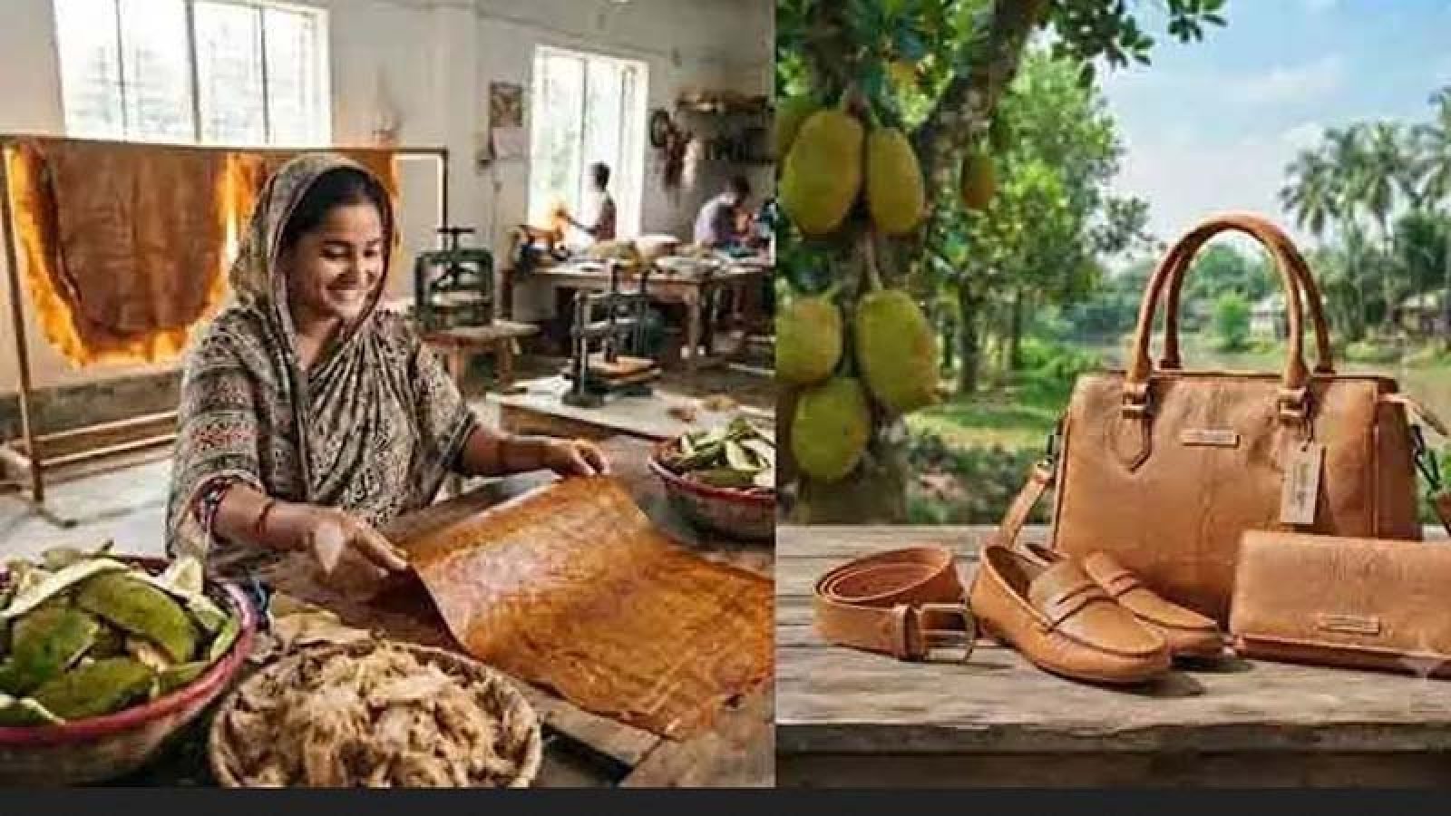 কাঁঠালের খোসা থেকে পরিবেশবান্ধব ‘চামড়া’, বাংলাদেশের অপার সম্ভাবনা