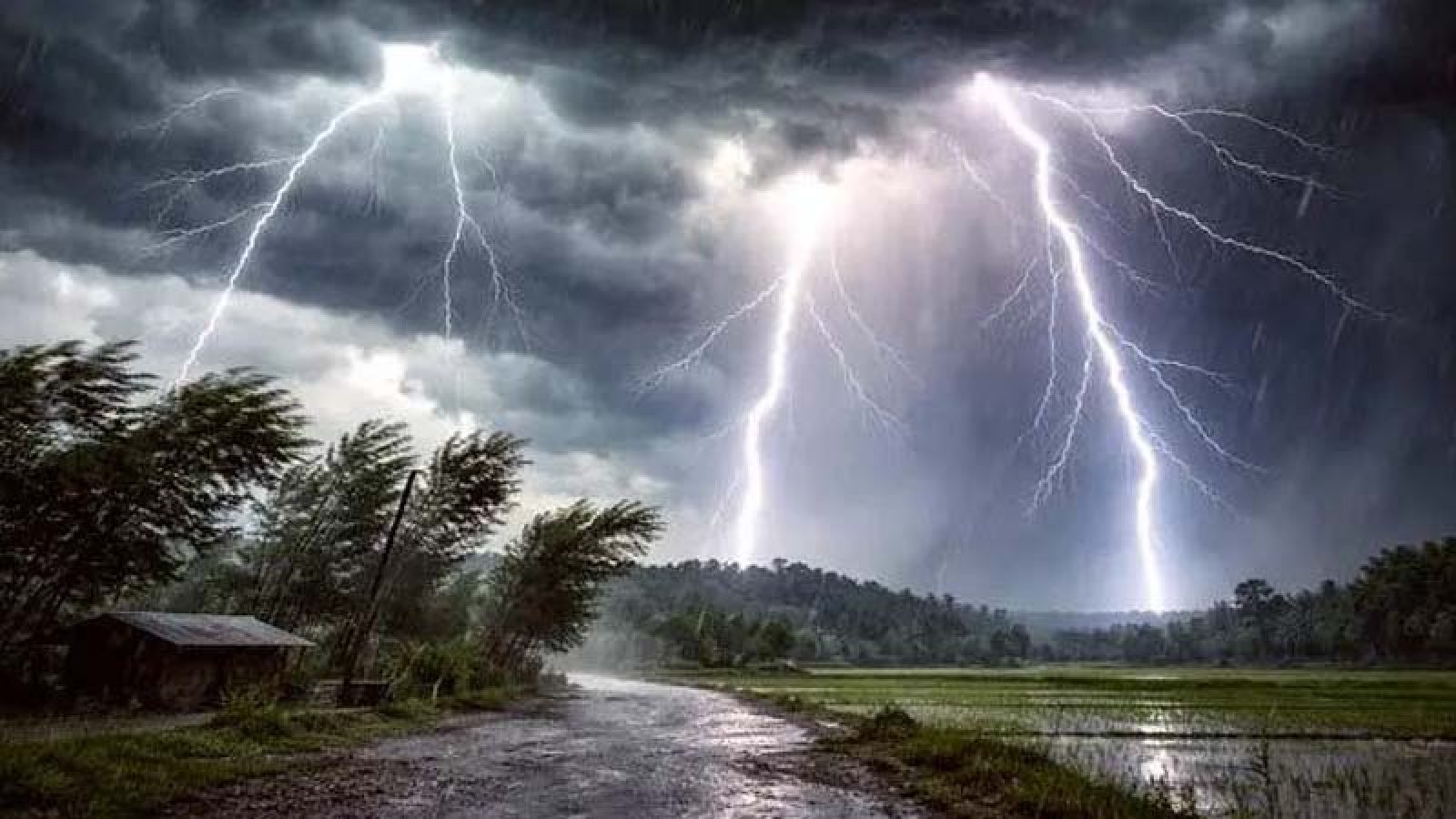 বজ্রপাতে ৪ জেলায় ৯ জনের মৃত্যু