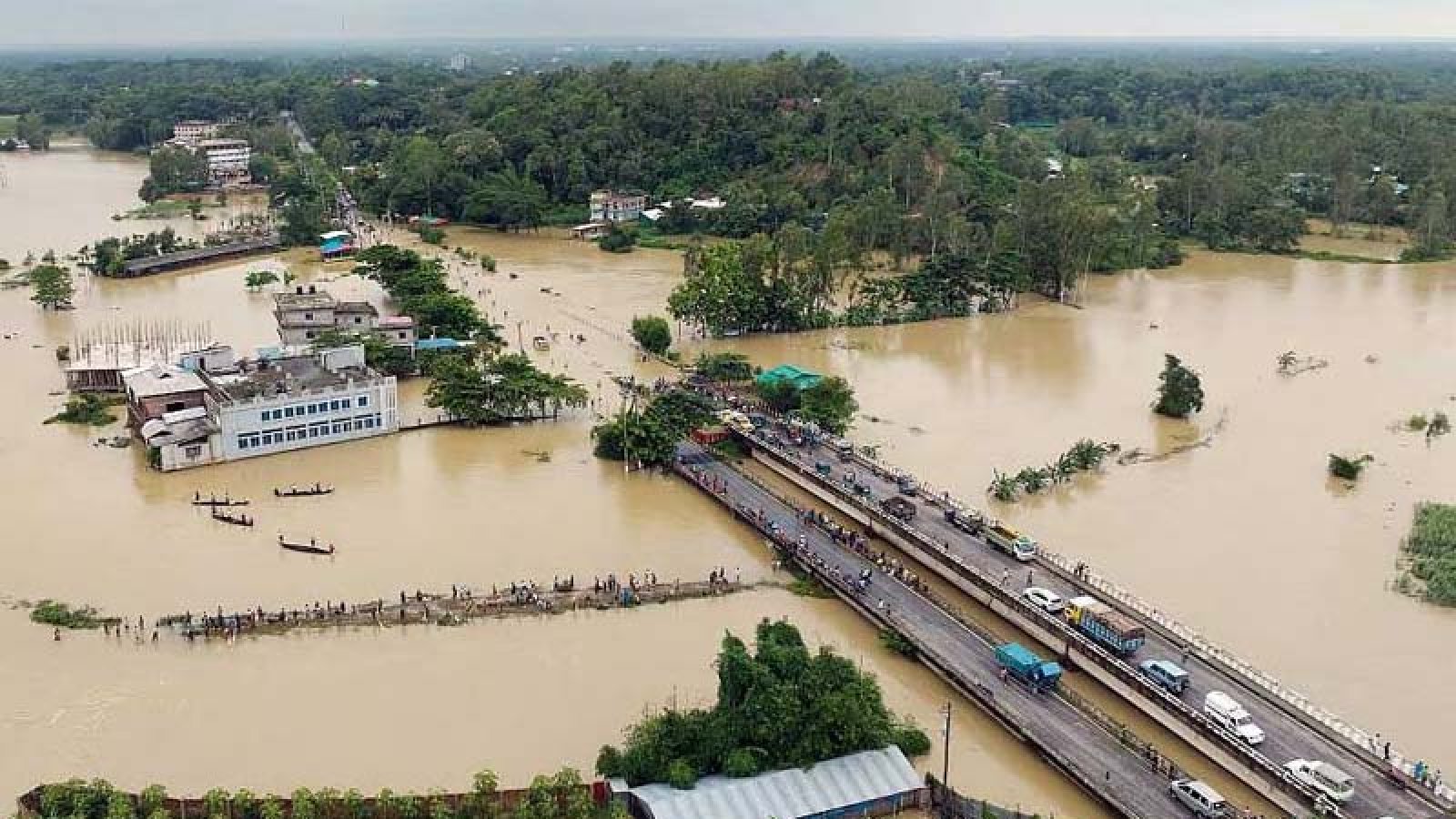 বন্যা: মৎস্য খাতেই ক্ষতি ৩৬৯ কোটি টাকা