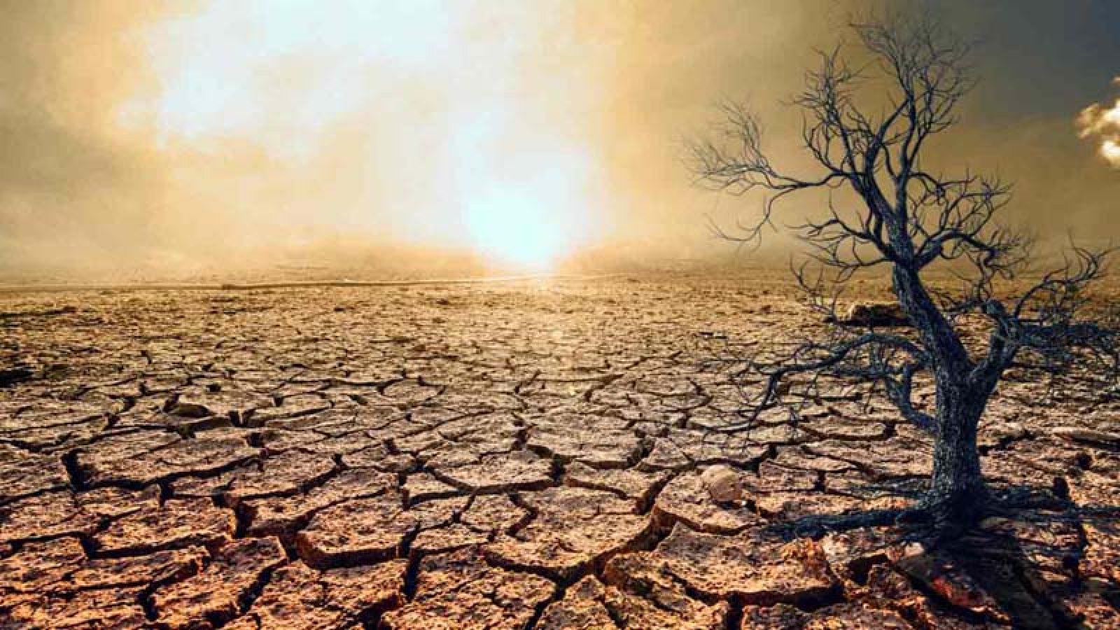 তাপপ্রবাহ ও খরার জোড়া আঘাত পাঁচ গুণ বাড়বে এই শতকের শেষেই!