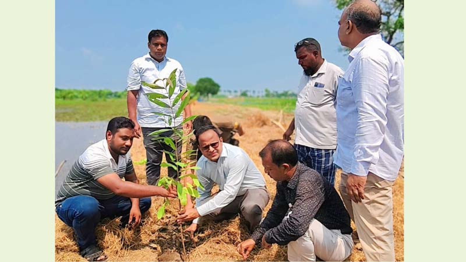 রহনপুর পৌর এলাকায় বৃক্ষরোপণ রোপণ কর্মসূচি