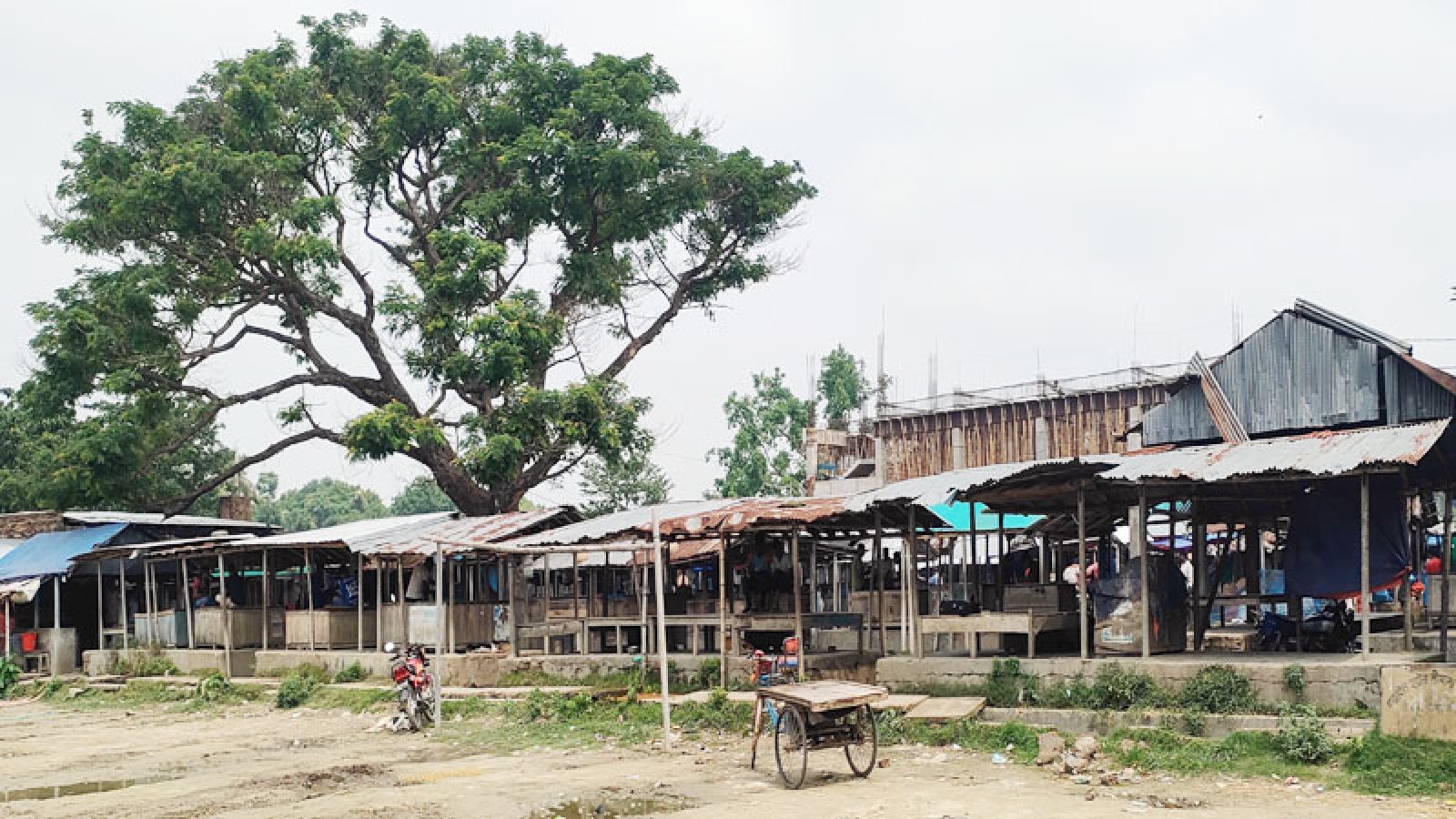 রাণীনগরে শতাধিক বিঘার অর্পিত জমি অবৈধ দখলের বিরুদ্ধে সরকারের মামলা