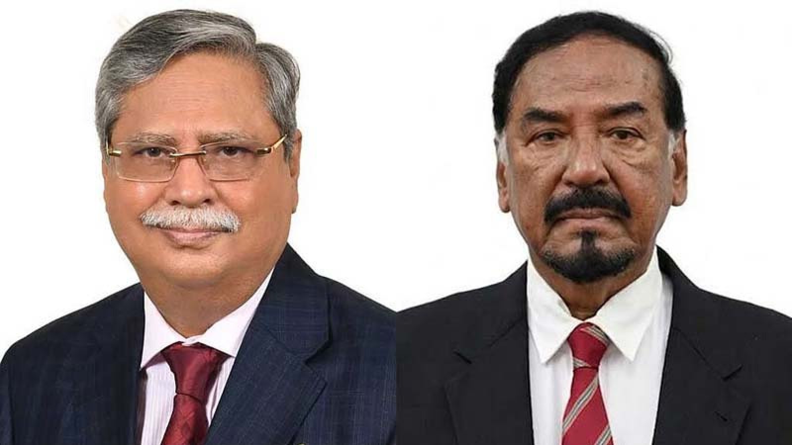 রাষ্ট্রপতি সাহাবুদ্দিনের পদত্যাগ, ভারপ্রাপ্ত রাষ্ট্রপতি হাফিজ উদ্দিন আহমদ