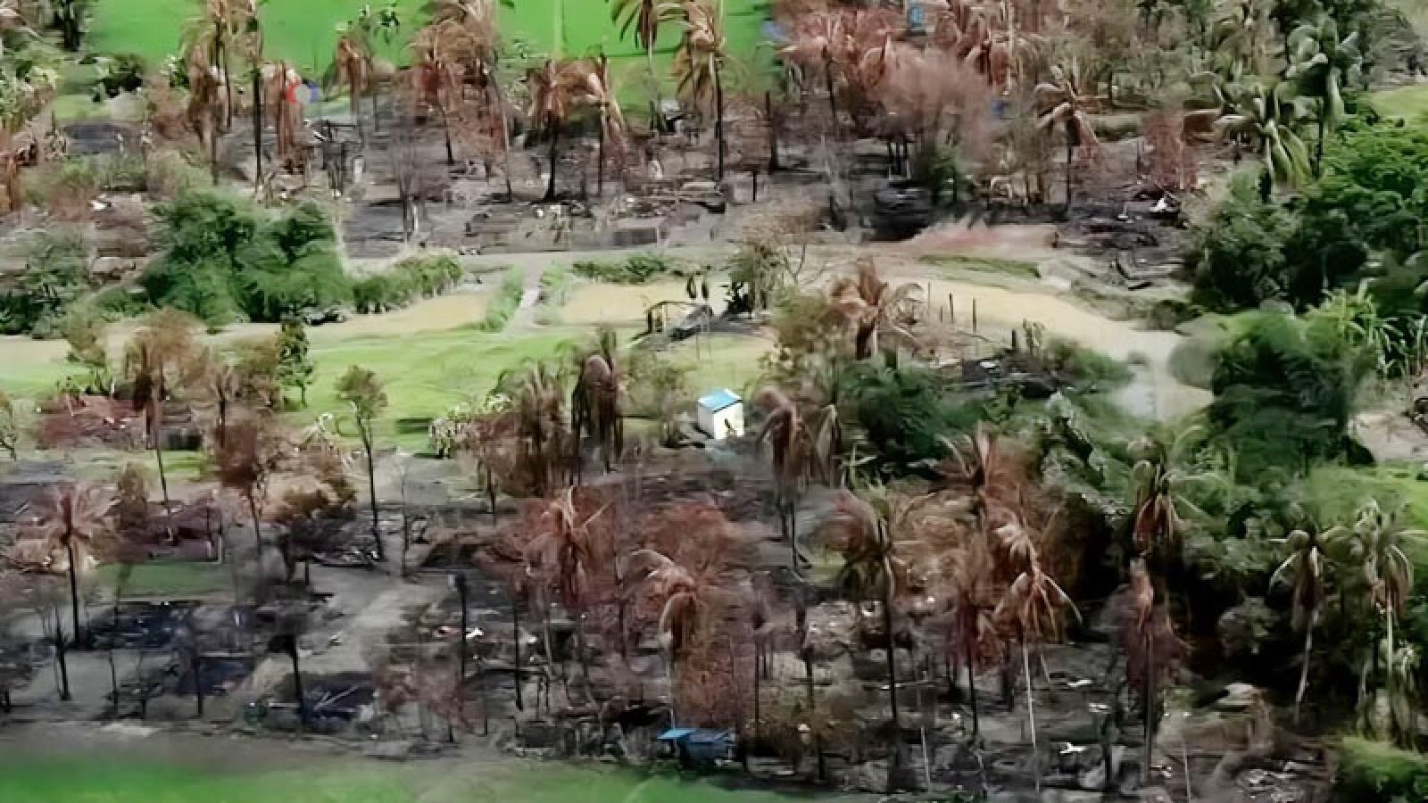 রাখাইনে রোহিঙ্গাদের জমিতে বন্দিশিবির-সামরিক ঘাঁটি বানাচ্ছে আরাকান আর্মি